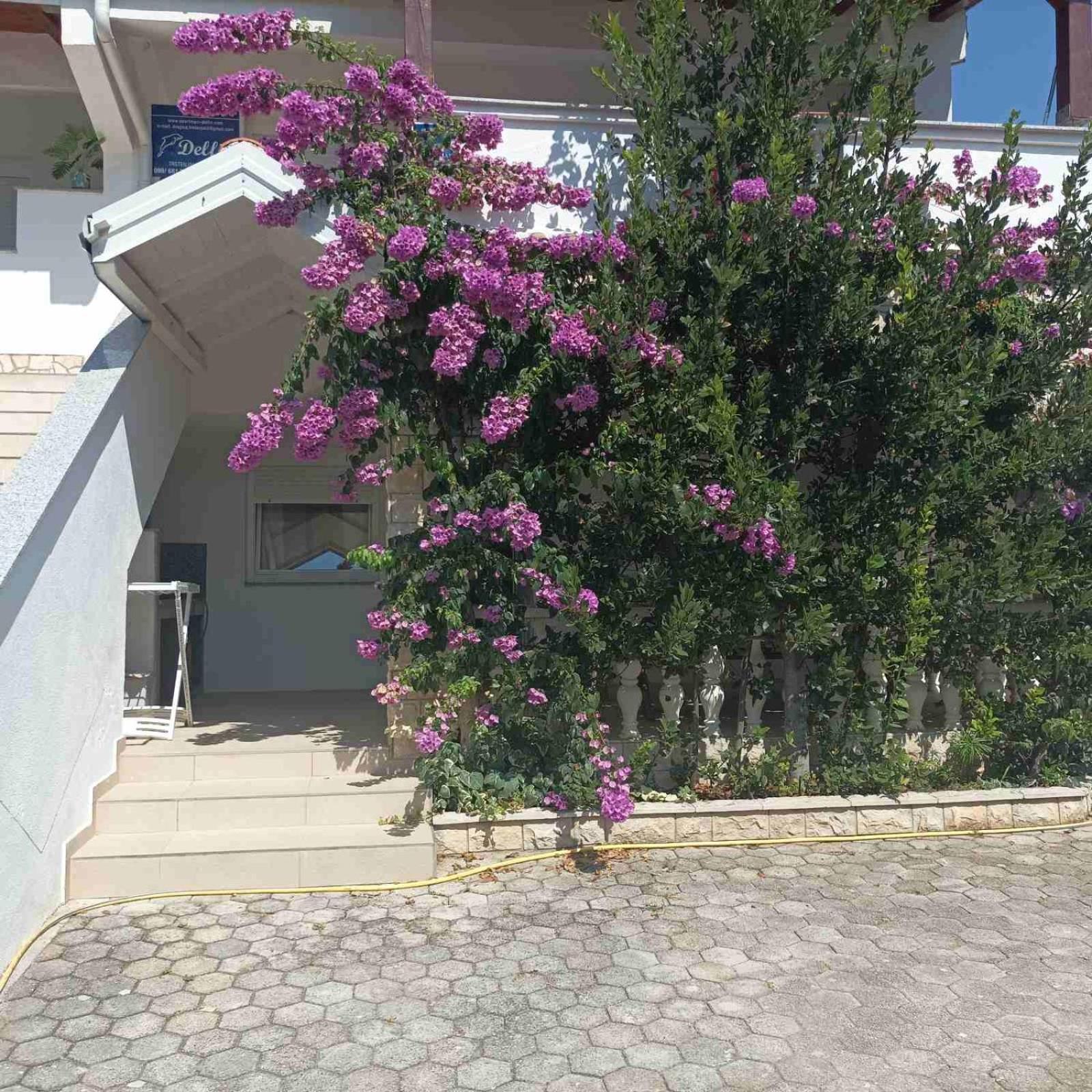 Apartments Vir Delfin ภายนอก รูปภาพ
