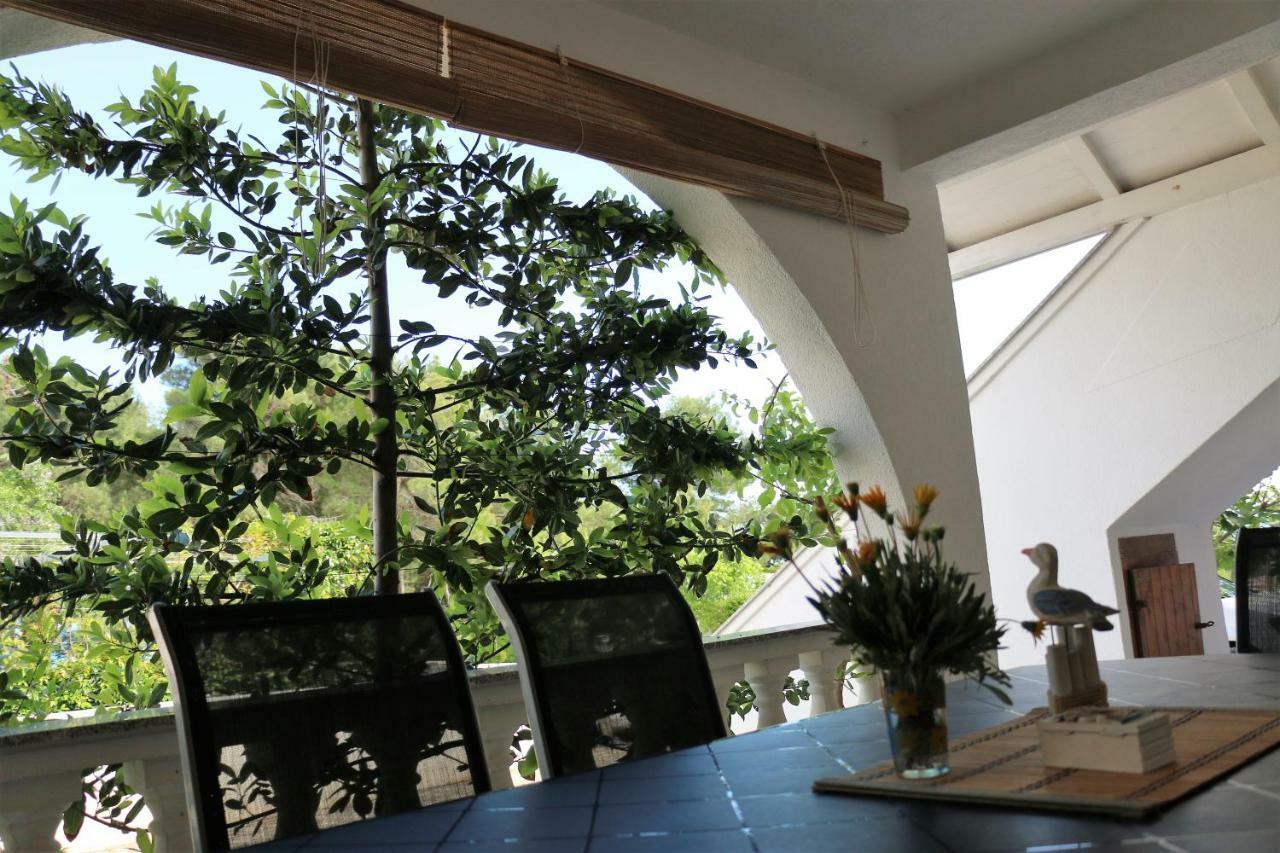 Apartments Vir Delfin ภายนอก รูปภาพ